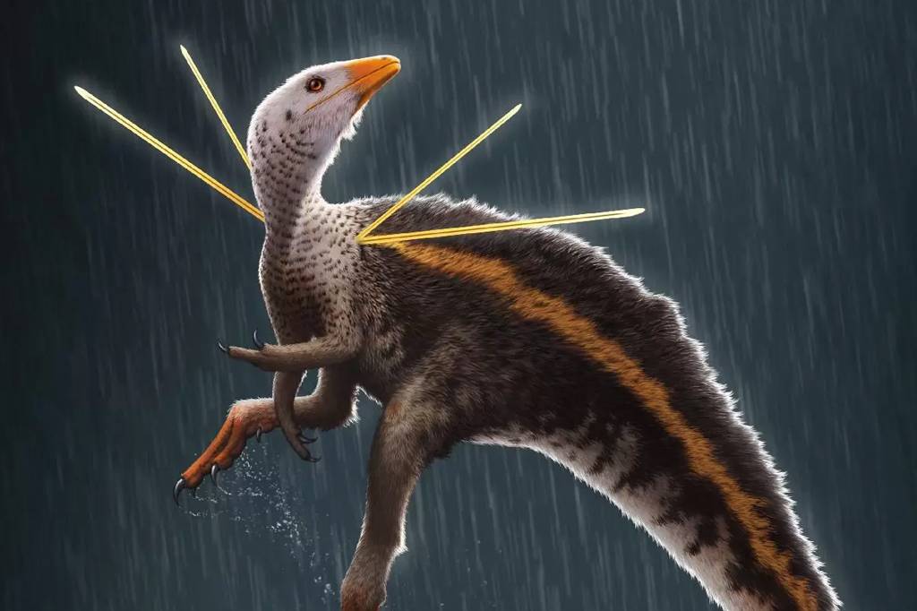 Ubirajara: a polêmica do dinossauro brasileiro preso num museu alemão