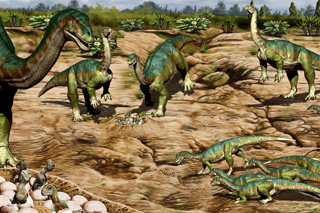 Ilustração do criadouro de um rebanho de Mussaurus patagonicus, mostrando indivíduos de diferentes idades, incluindo recém-nascidos em ninhos, jovens dinossauros e adultos totalmente crescidos no que hoje é a Patagônia.