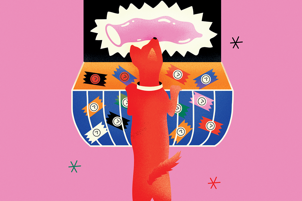 Cachorros têm doenças sexualmente transmissíveis?