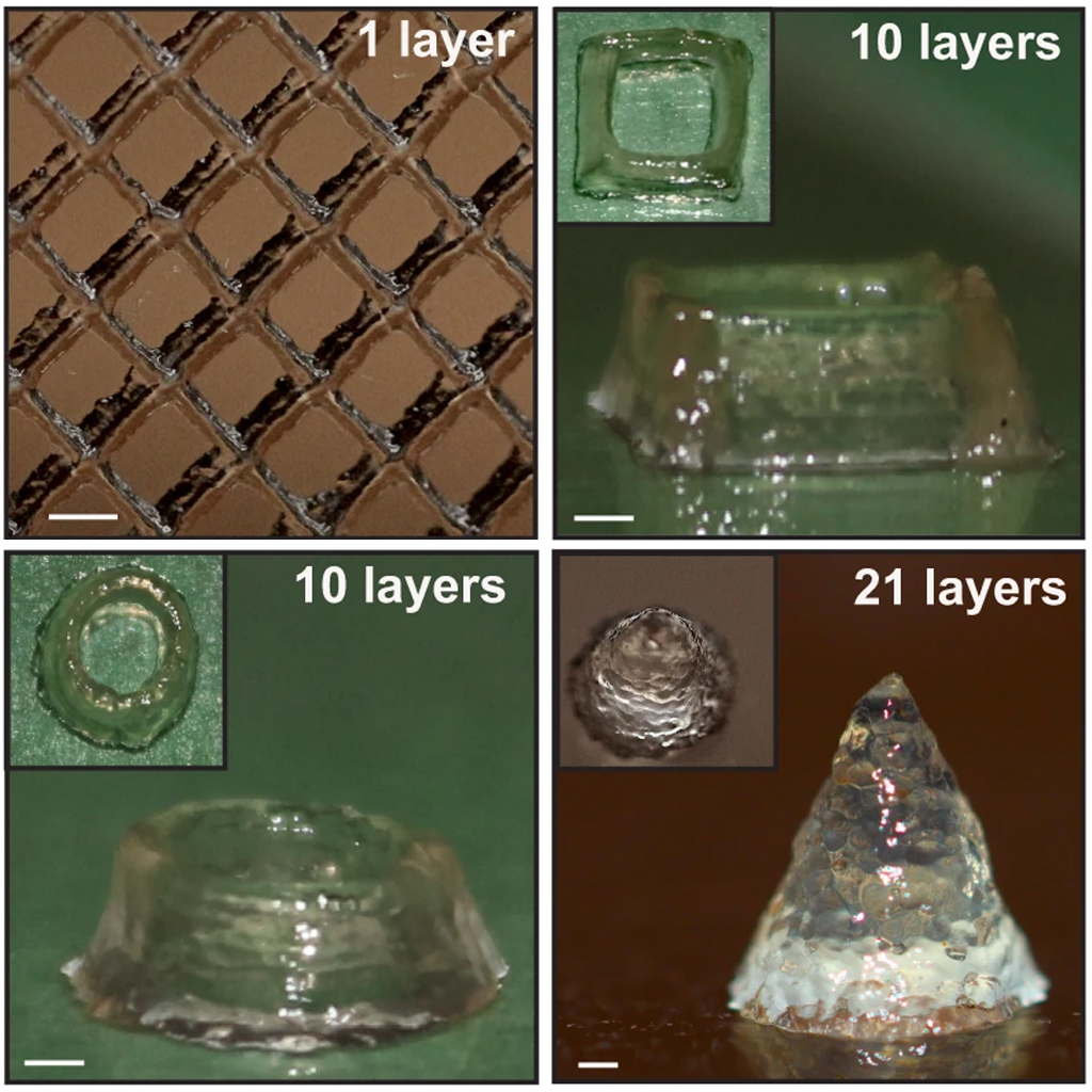 Pesquisadores usam bactérias em impressora 3D para imprimir estruturas vivas interna Estruturas feitas em impressora 3D utilizando bactérias.