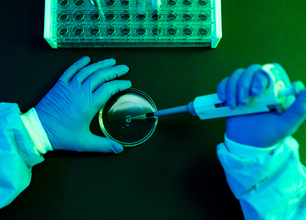 Pesquisadores da USP isolam variante ômicron do coronavírus