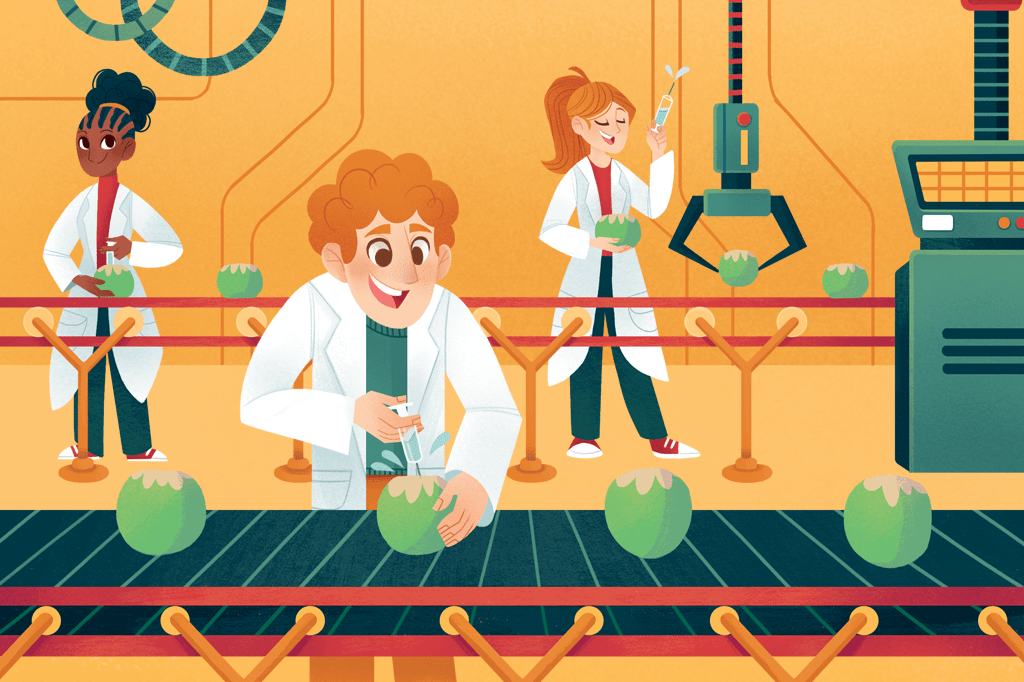 Como a água vai parar dentro do coco?