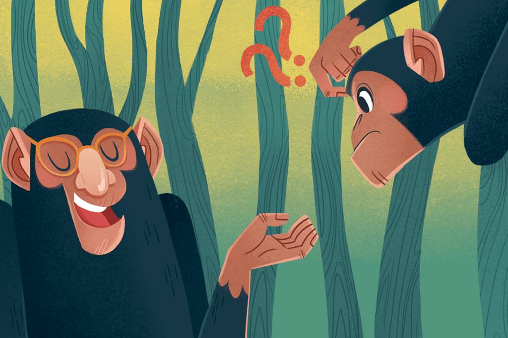 Como e por que surgiu o nariz em humanos, se os chimpanzés têm fendas?