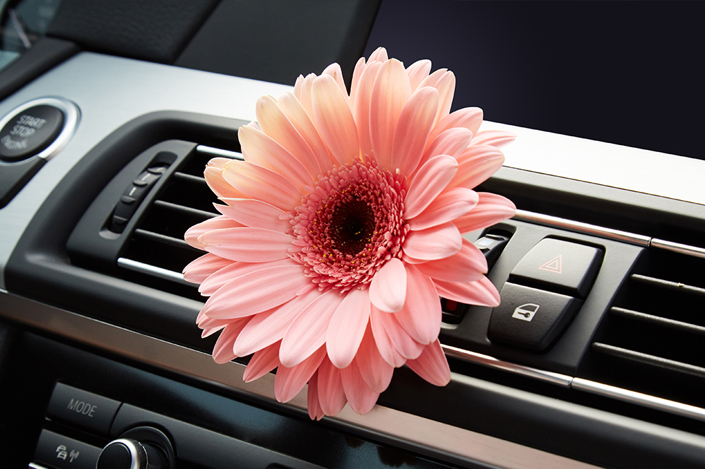 Painel de carro com flor na saída de ar.