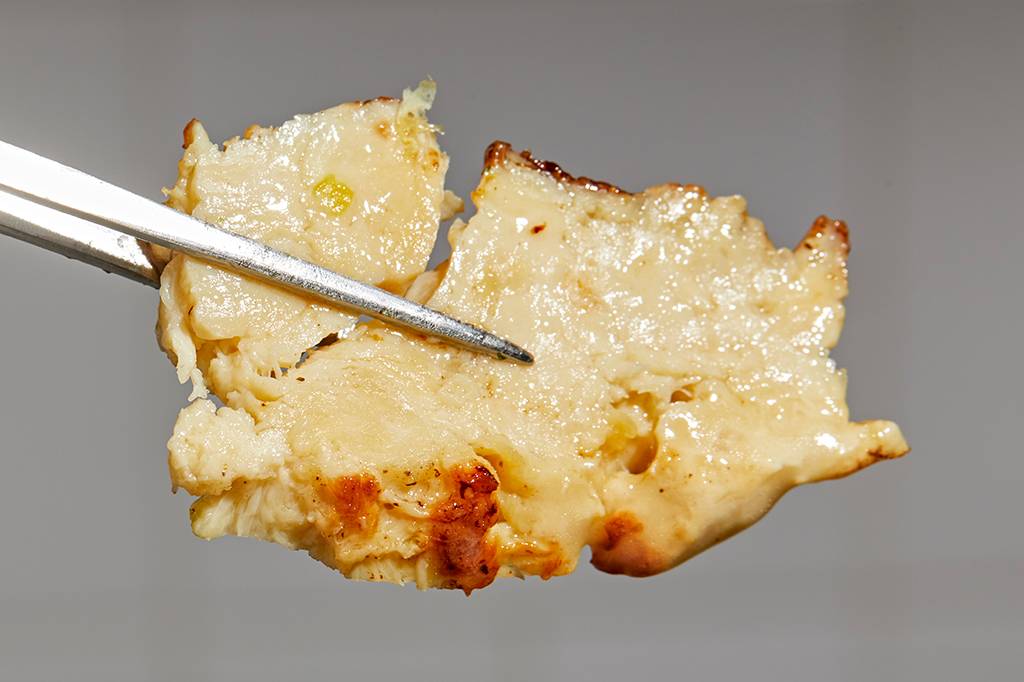 Provamos o frango feito com células-tronco