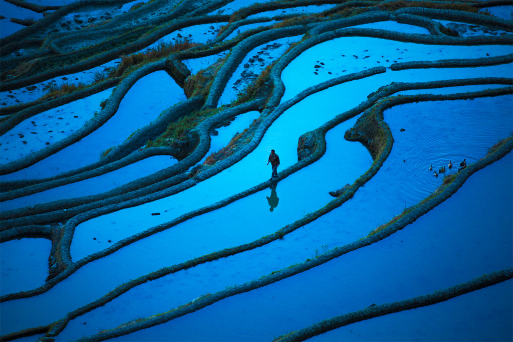 Terraço de plantação de arroz Yuanyang, em Yuannan, China.