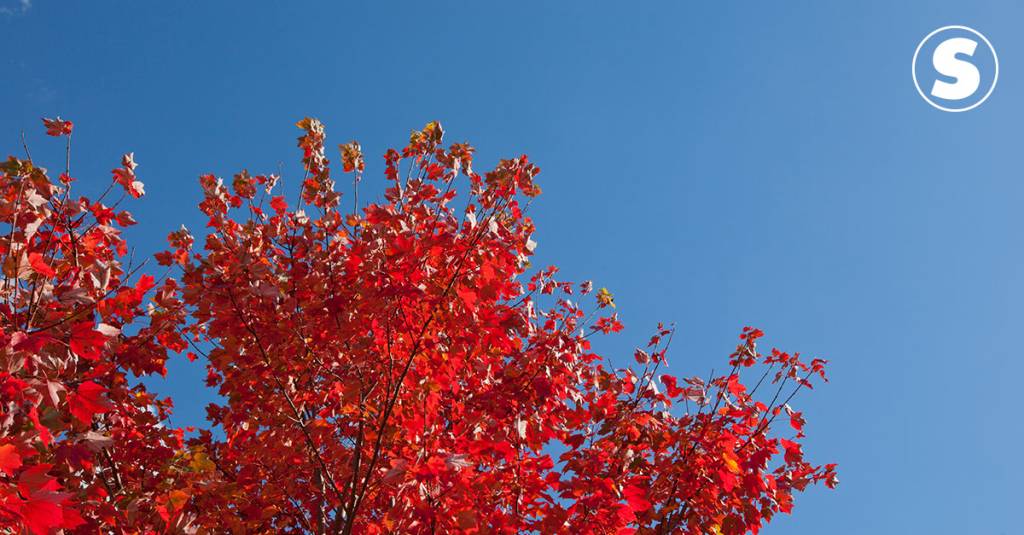 Por que o céu é mais azul durante o outono?