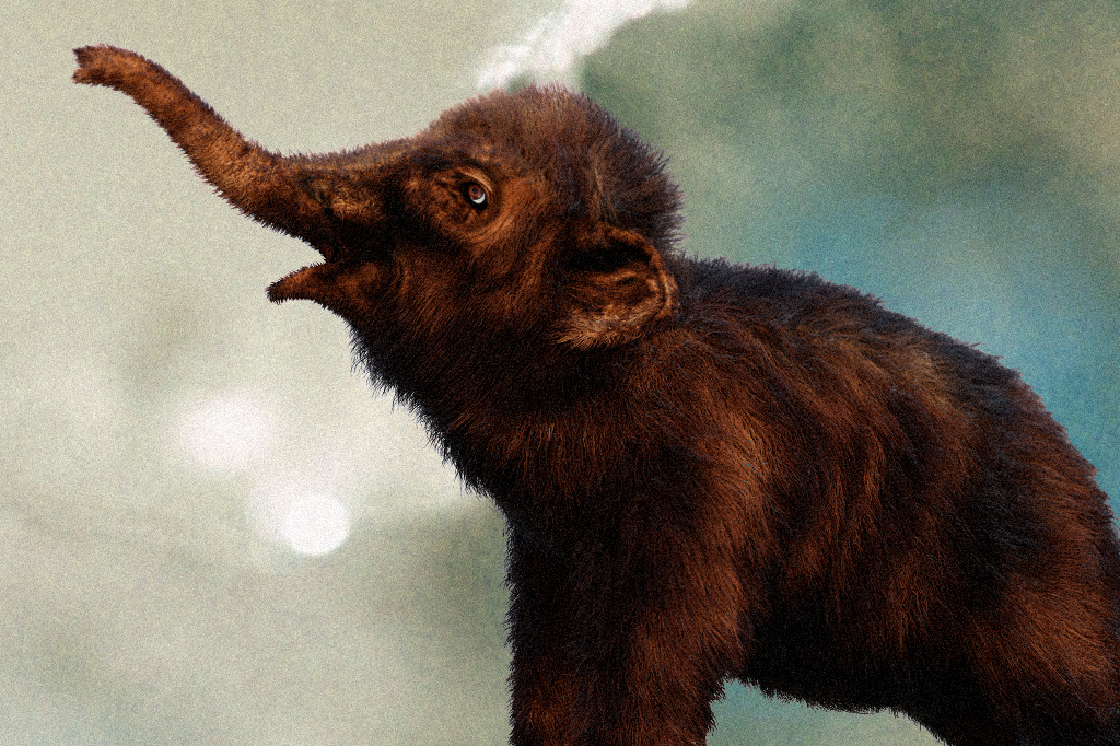 Múmia de mamute bebê é encontrada em condições quase perfeitas