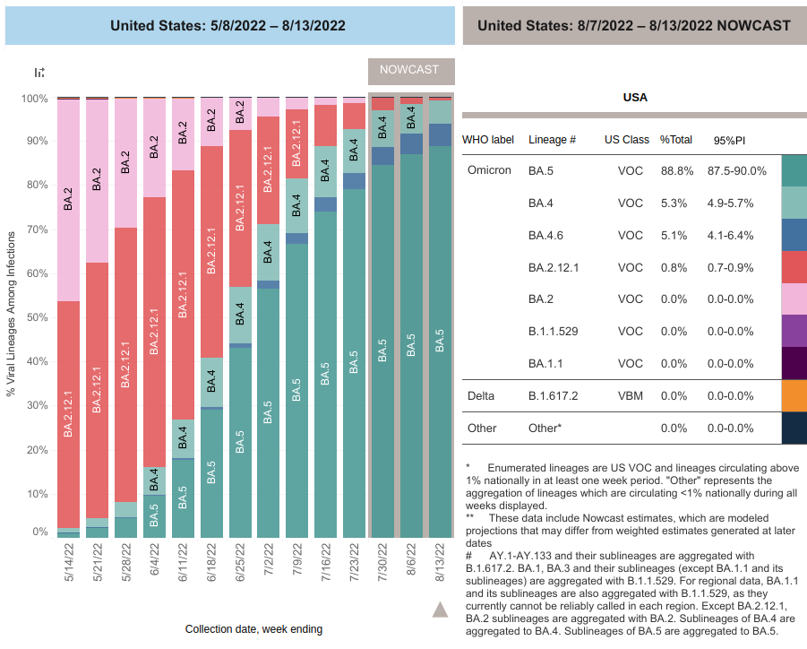 gráfico casos covid