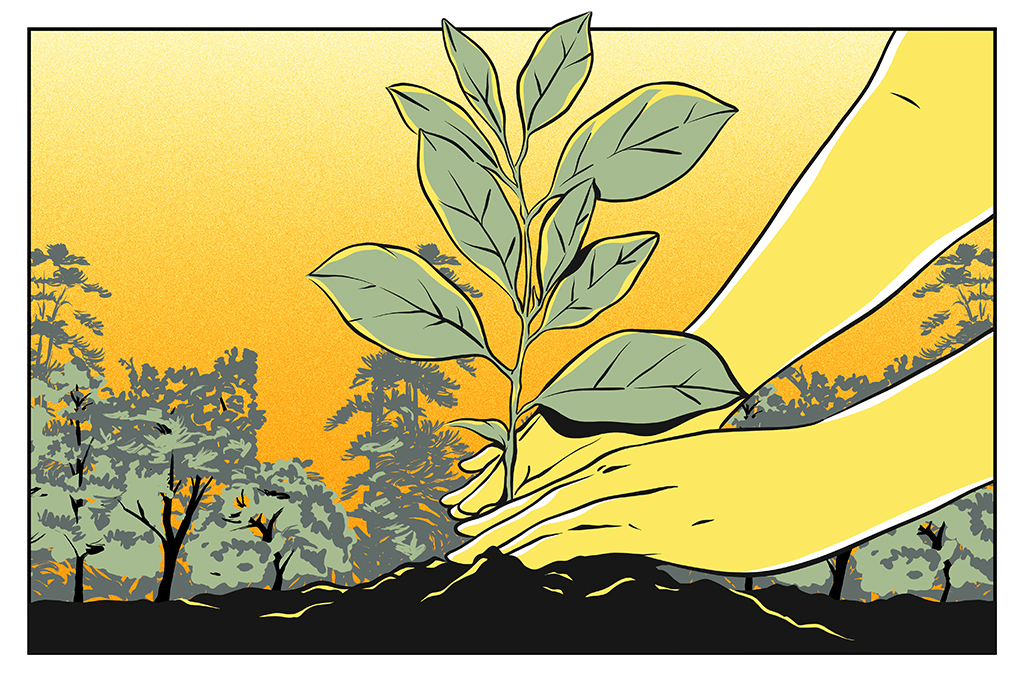 Ilustração de mãos plantando uma muda em primeiro plano com floresta atrás.