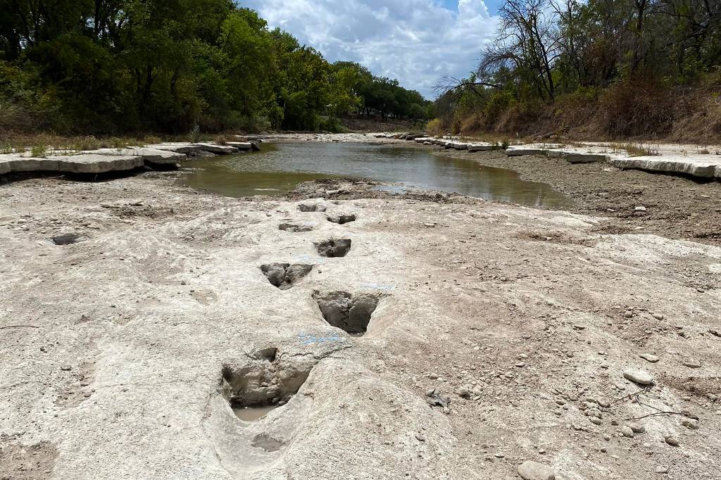Pegadas de dinossauro aparecem em leito de rio nos Estados Unidos