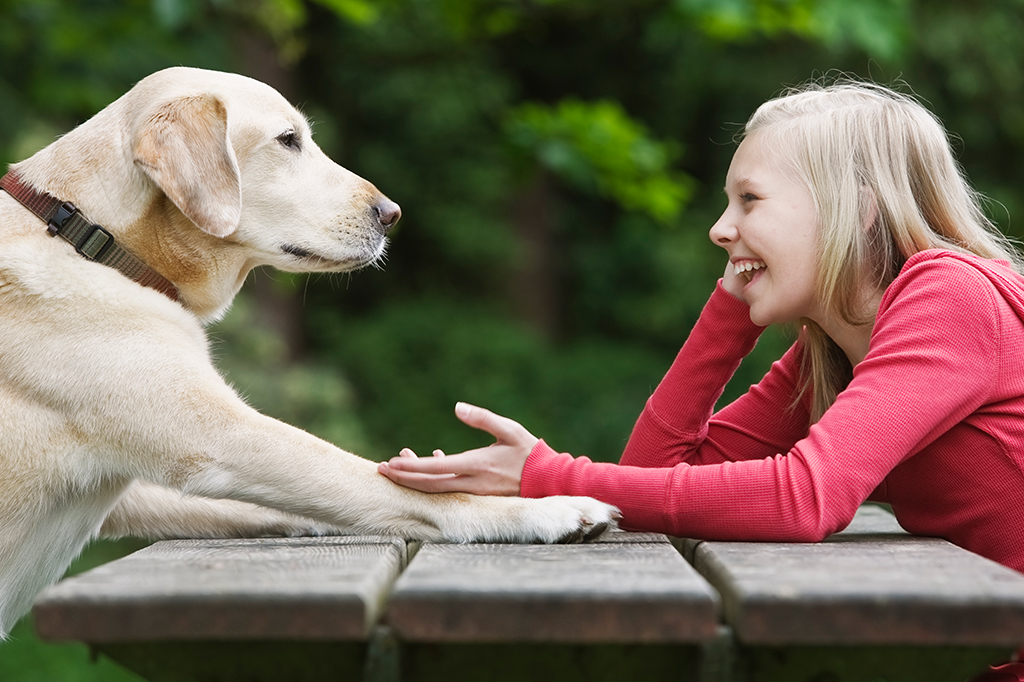 Projeto quer decodificar, com IA, a comunicação de todas as espécies