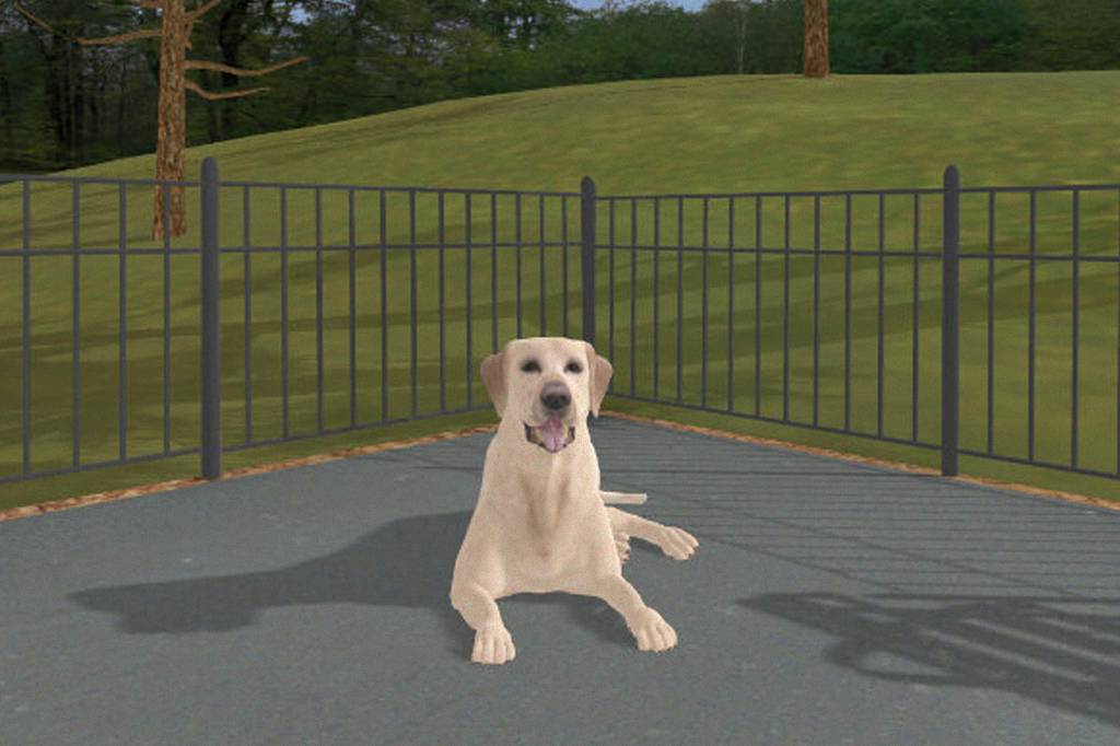 Labrador virtual pode ajudar a reduzir o número de mordidas de cães