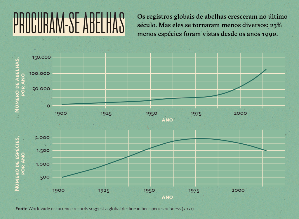 Dois gr&aacute;ficos de linha mostrando o n&uacute;mero de abelhas por ano e o n&uacute;mero de esp&eacute;cies por ano.