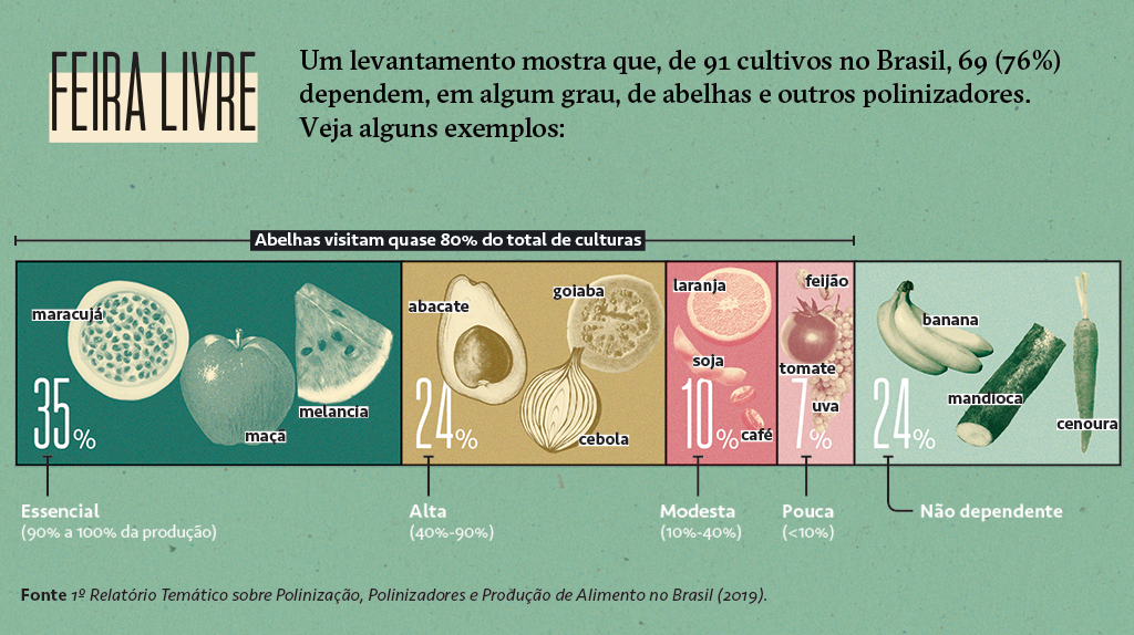 Gráfico mostrando a porcentagem de dependência de abelhas e outros polinizadores de alguns cultivos.