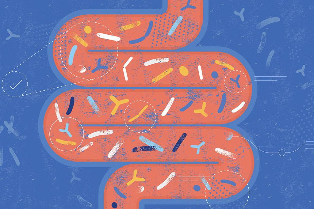 FDA aprova primeiro medicamento feito a partir da microbiota intestinal humana