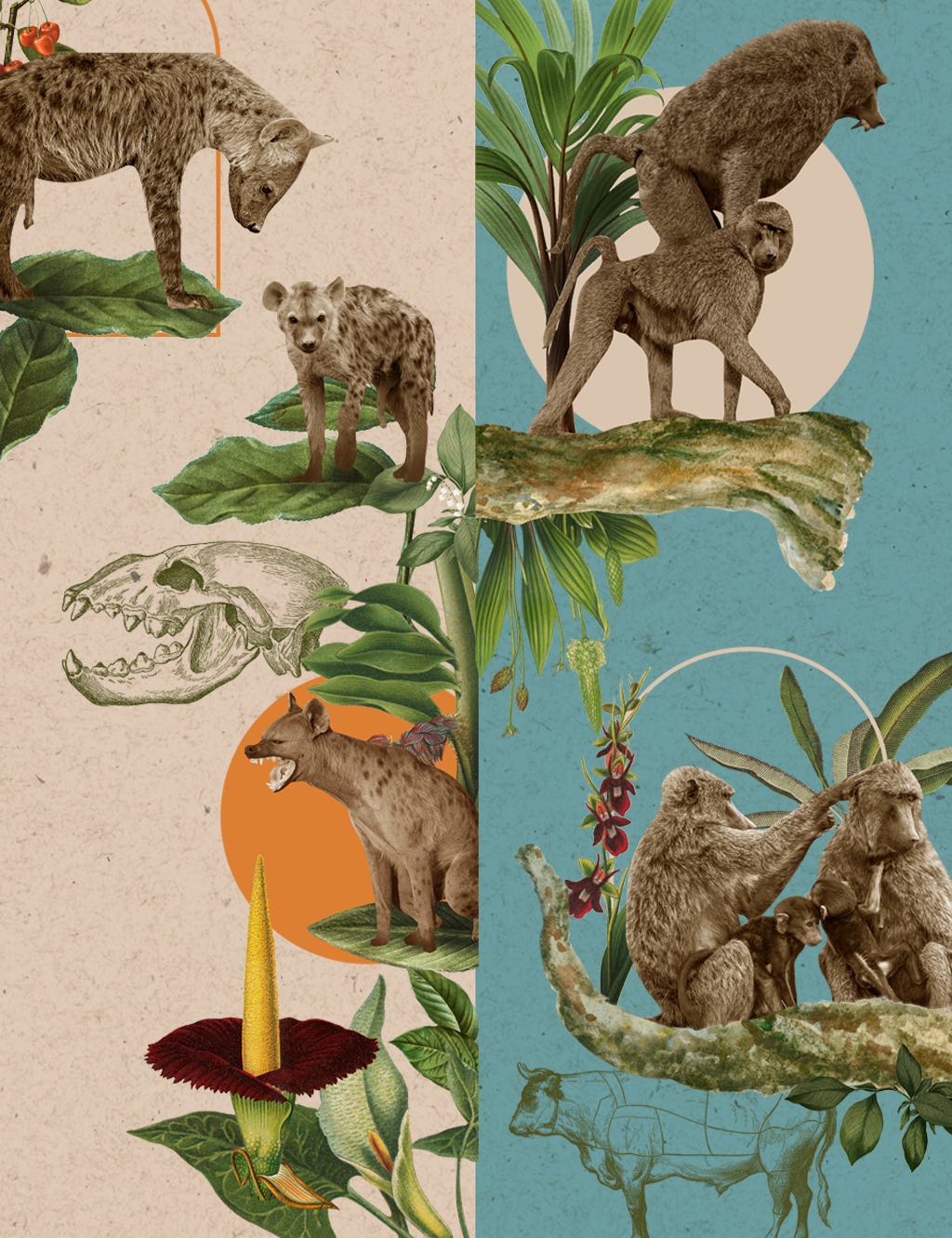 Colagem com hienas-pintadas do lado esquerdo, flores e plantas e babuínos-verdes do lado direito.