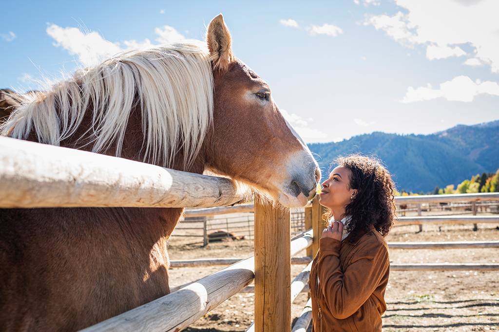 Pessoas empáticas são melhores em entender o que animais querem