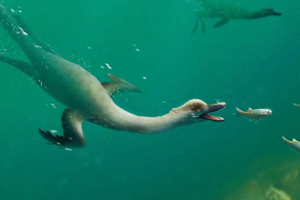 Espécie de dinossauro aquático é descoberta na Mongólia