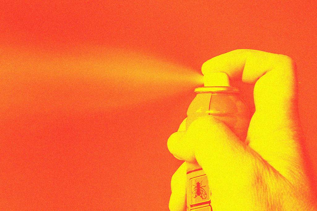 Mosquito da dengue adquire resistência a inseticidas