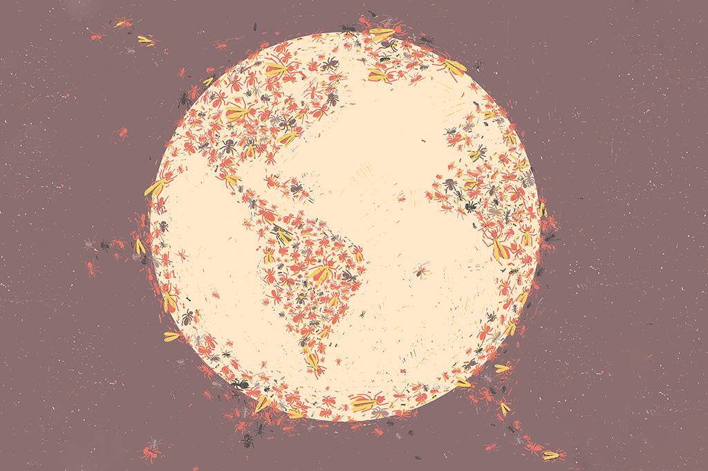 O planeta das formigas