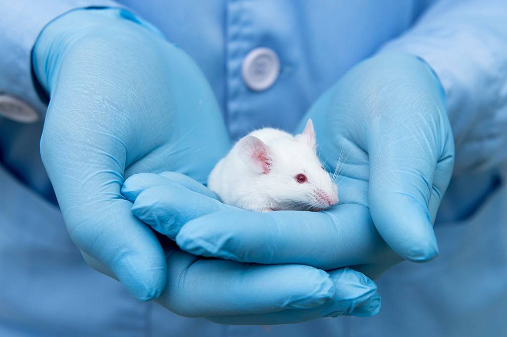 Novos medicamentos não precisarão mais ser testados em animais