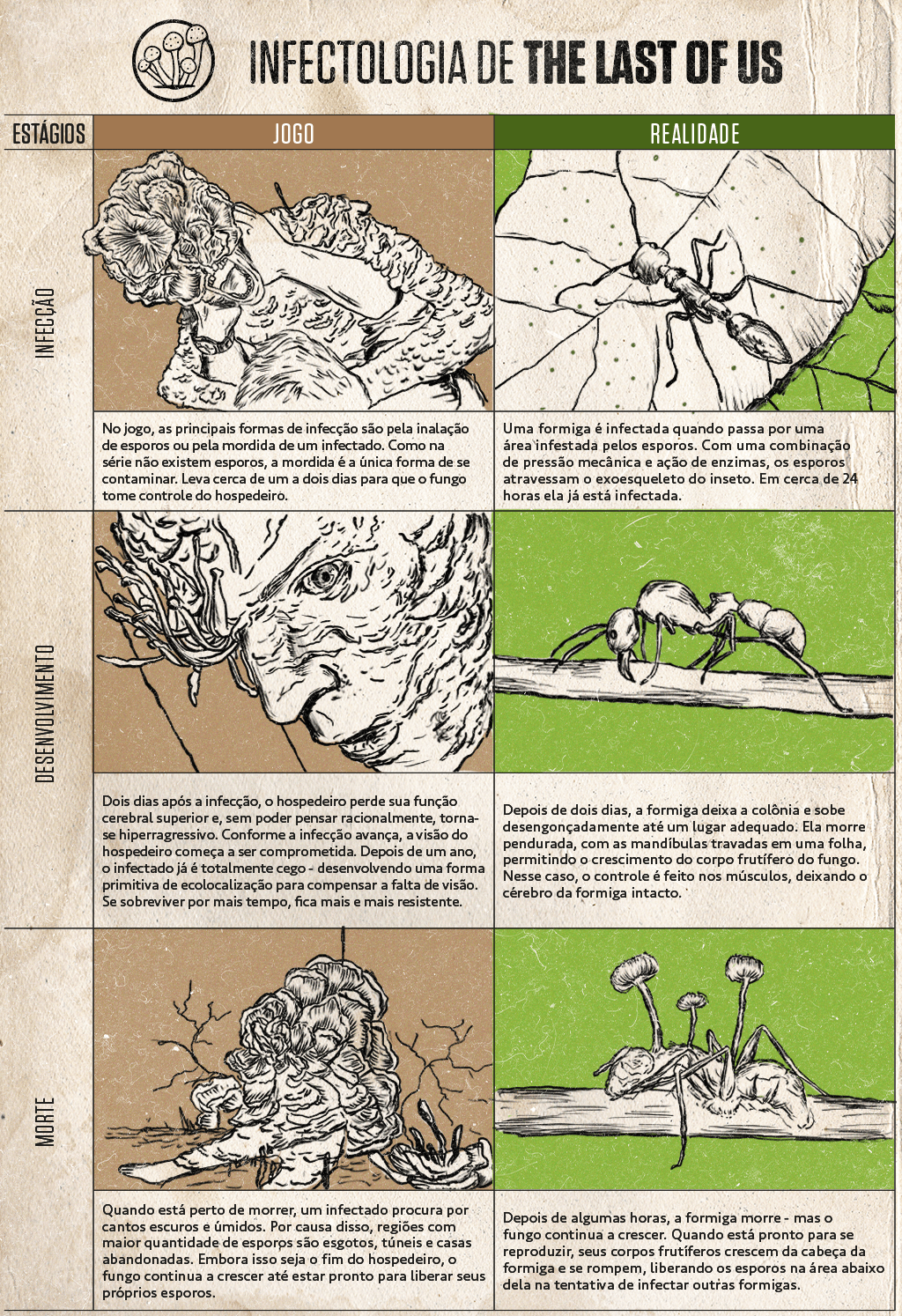 The-Last-Of-Us_info_2 Quadro ilustrado comparando a infecção vista no jogo The Last Of Us e na realidade.
