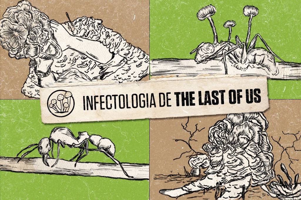 A infectologia de The Last of Us: as diferenças entre ficção e realidade