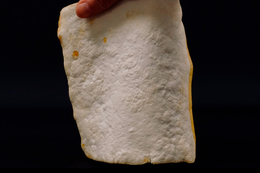Imagem de material biofabricado feito de fungos.