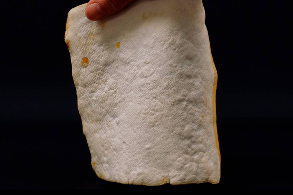 Cientistas criam “couro” feito de fungos que pode se reparar sozinho