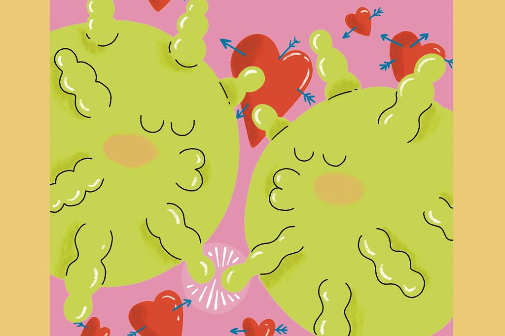 A mononucleose só é transmitida pelo beijo?
