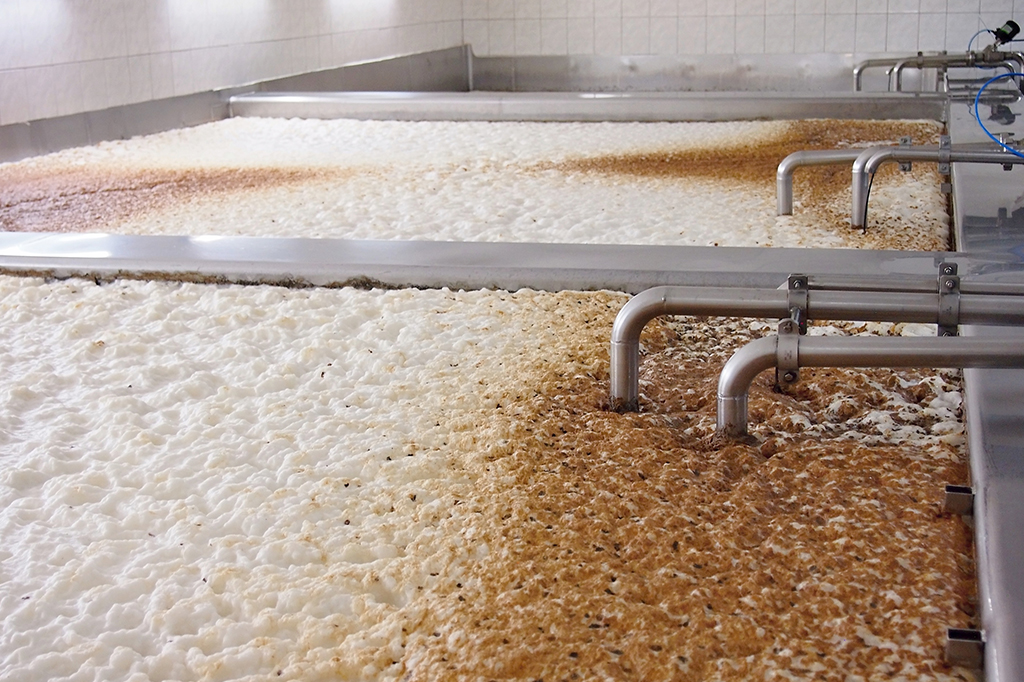 “Robôs fermentadores” podem acelerar a produção de cerveja