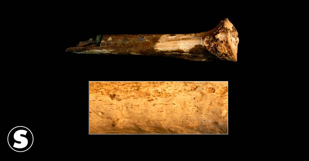 Evidências de possível canibalismo são encontradas em osso hominídeo de 1,45 milhão de anos