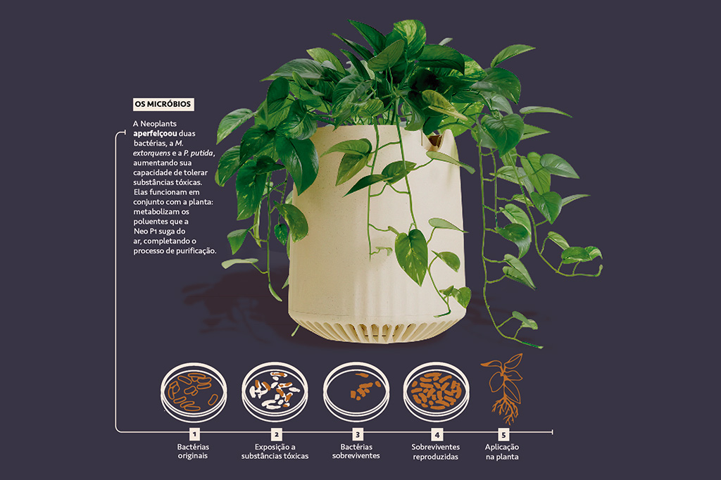 Foto da Neo P1 e infogr&aacute;fico mostrando as fases de seu desenvolvimento.