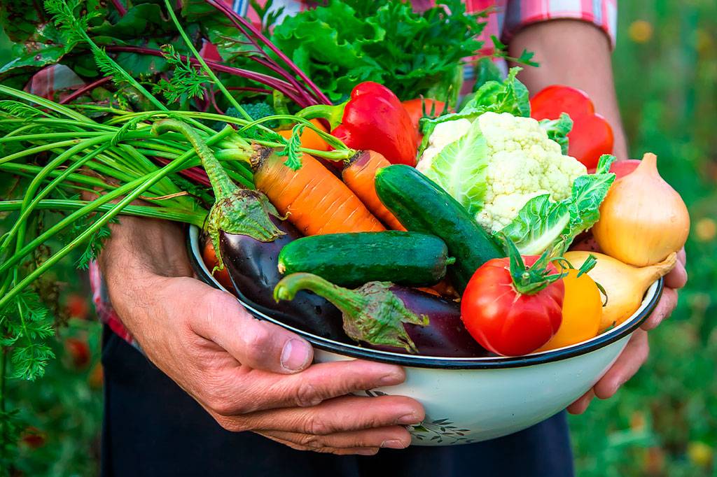 A culpa por você não gostar de vegetais pode estar no seu DNA, diz estudo
