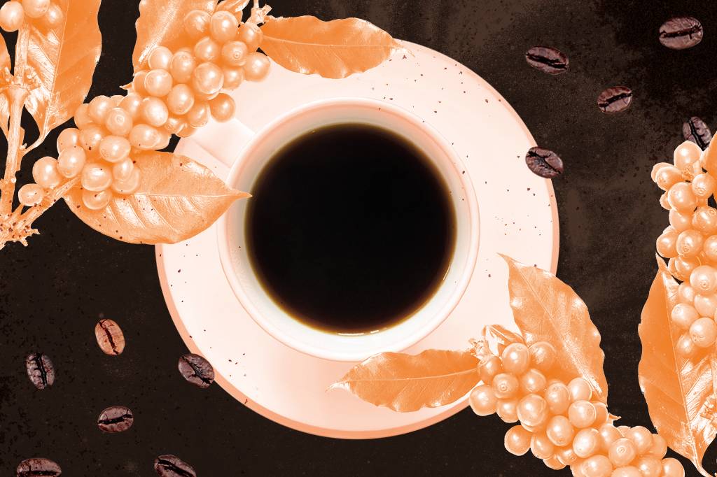 Guia visual do café: da terra à xícara, um almanaque sobre a bebida