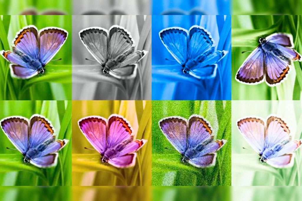 Google desenvolve programa para identificar imagens feitas por inteligência artificial