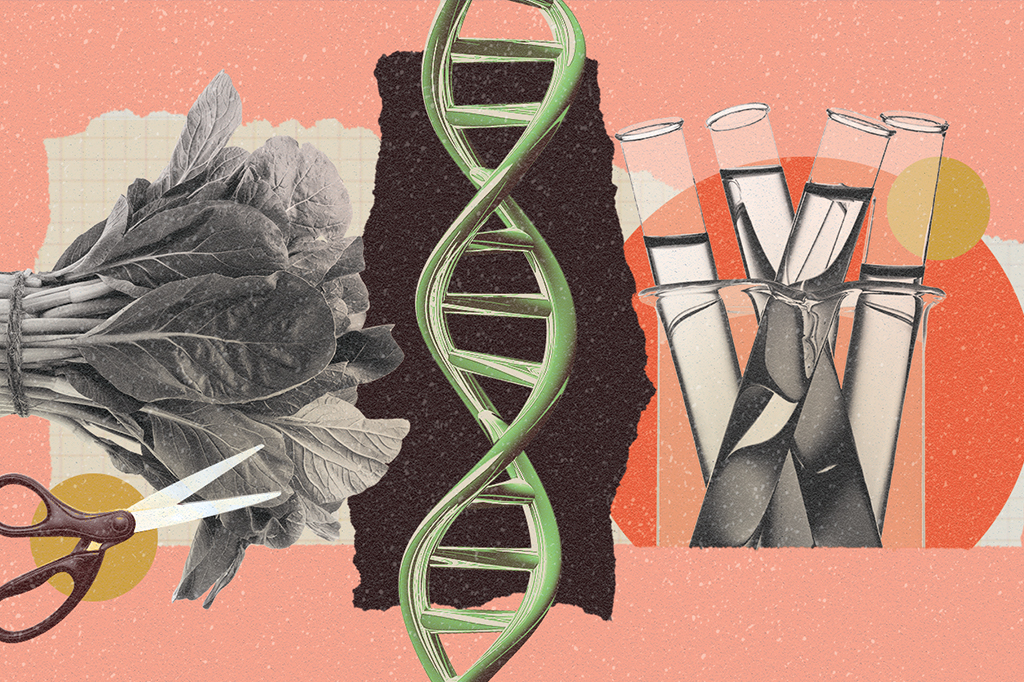 Colagem com um DNA, folha de mostarda, vidrarias de laboratório e tesoura.
