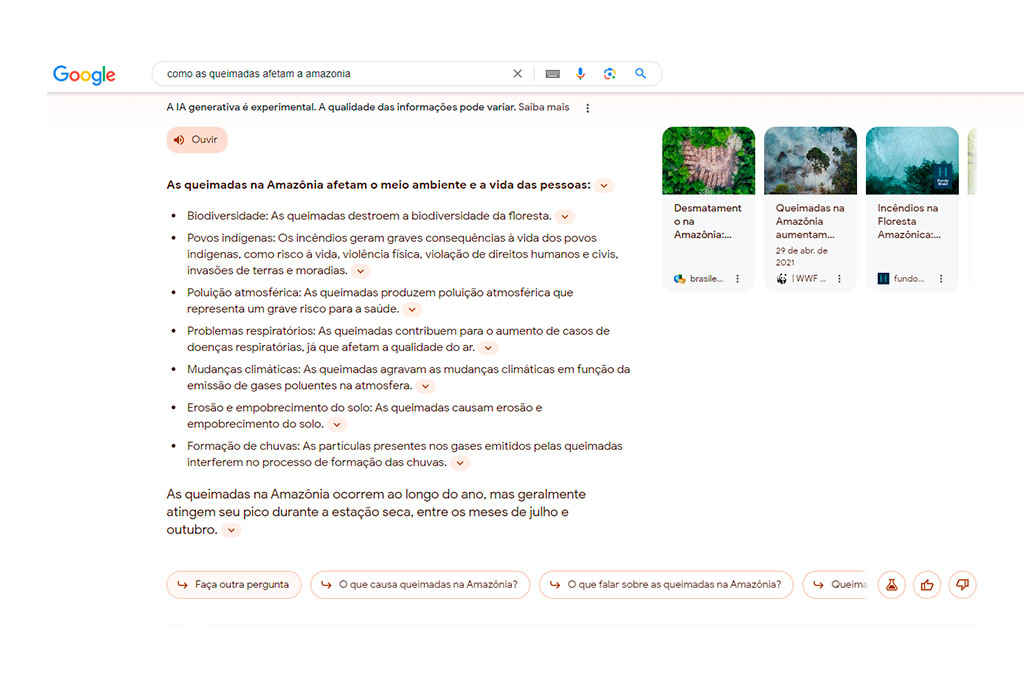 Queimadas na Amaz&ocirc;nia.