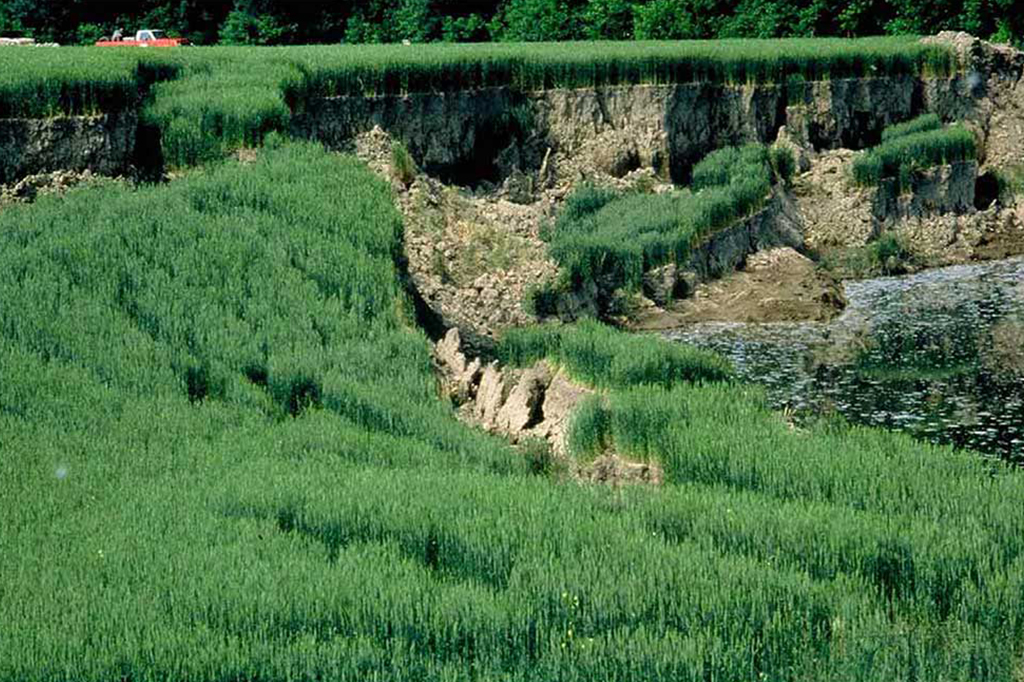 Em 1994, a maior mina de sal dos EUA colapsou