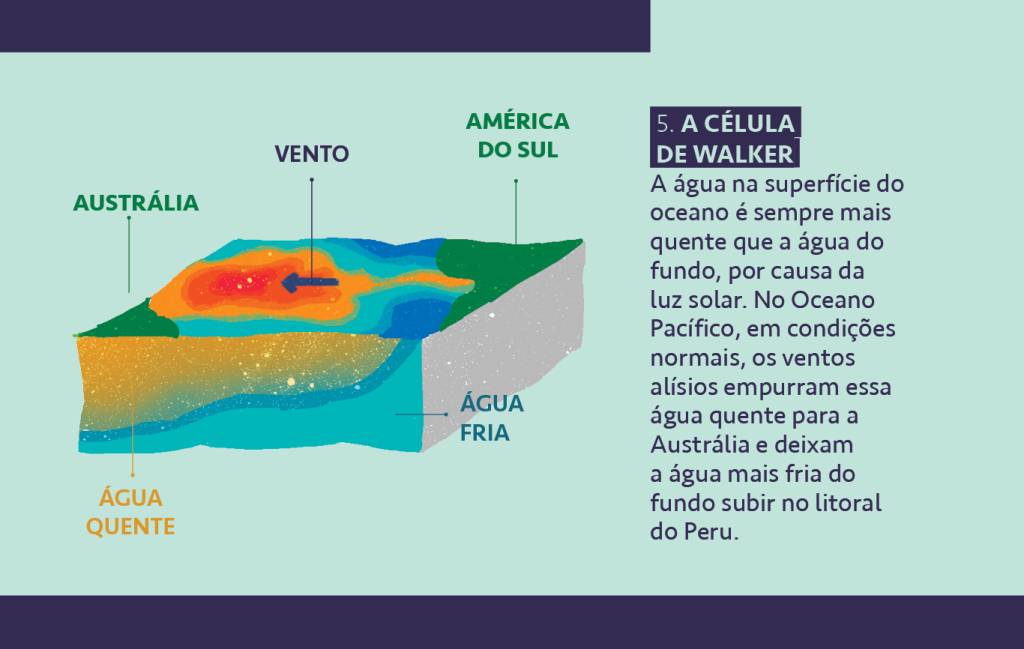 SI_458_ElNino_site-Info05 Ilustração com um texto explicando como funciona etapa 5: a célula de Walker.