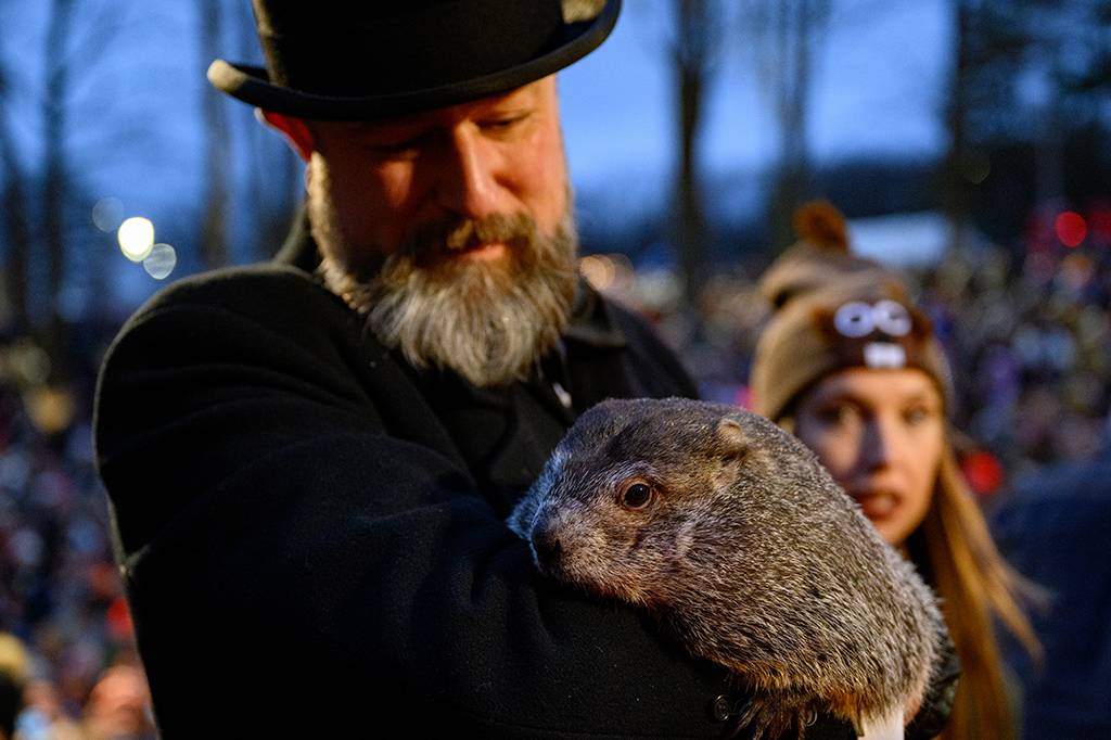 Dia da Marmota: a origem da estranha previsão do tempo americana