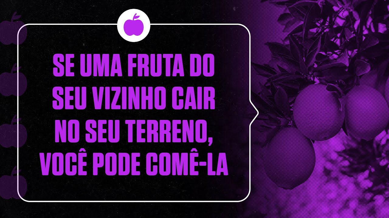 Se uma fruta do seu vizinho cair no seu terreno, você pode comê-la.