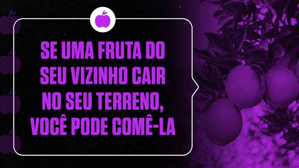 Se uma fruta do seu vizinho cair no seu terreno, você pode comê-la.