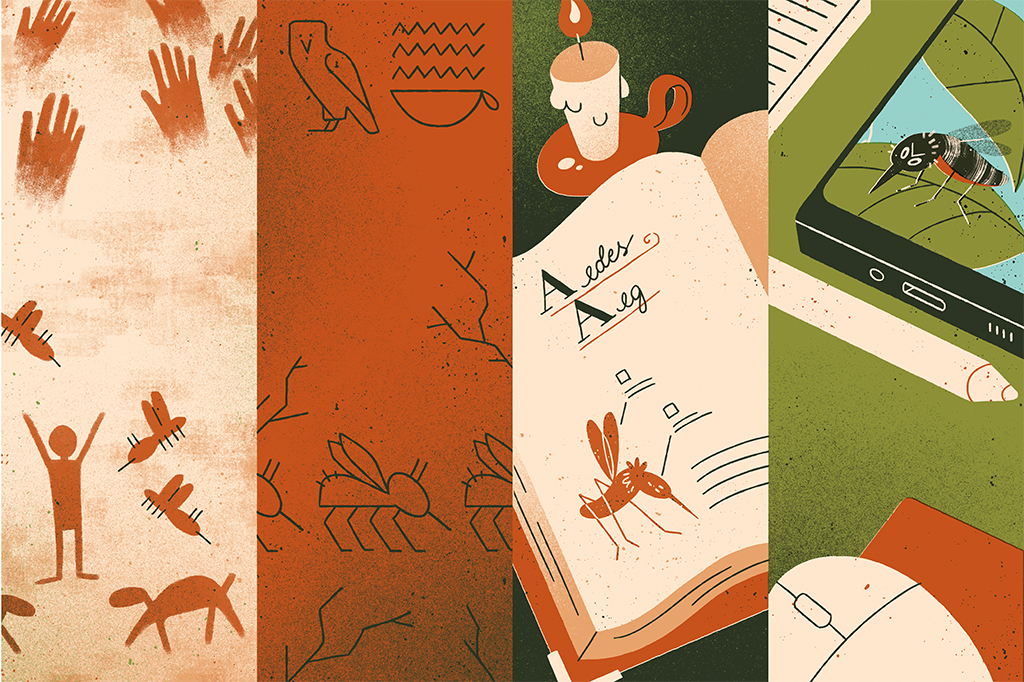 Como a dengue chegou ao Brasil – e qual é o futuro da doença