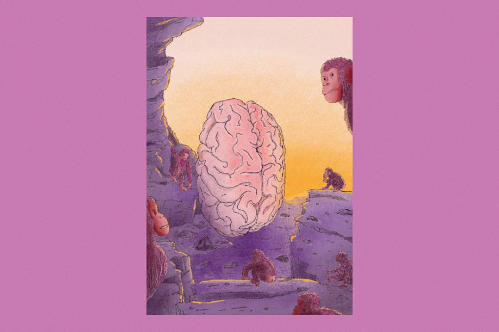 Quando surgiu a consciência na história da evolução humana?