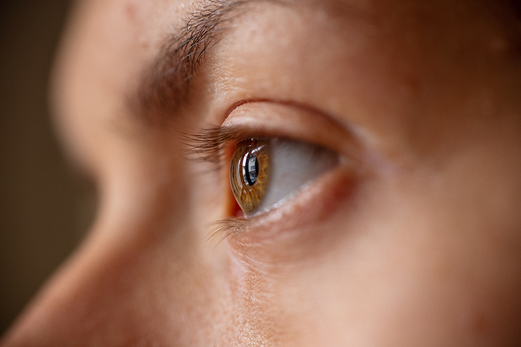 Visão de perfil de um par de olhos vendo o horizonte.
