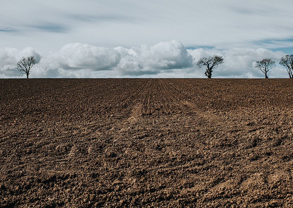Estudo mostra que trilhões de toneladas de carbono estão contidas no solo