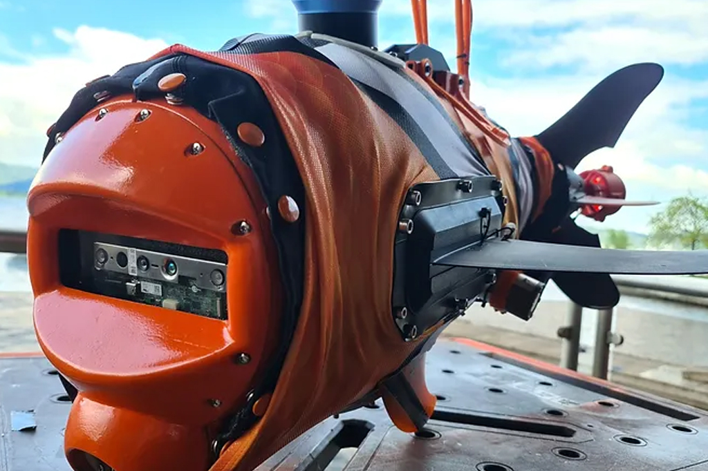 Drones gigantes fantasiados de peixes-palhaço vão medir saúde dos oceanos