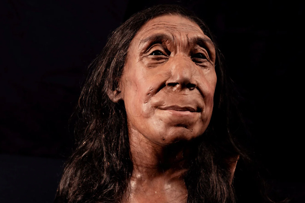 Cientistas reconstroem rosto de mulher neandertal que viveu há 75 mil anos